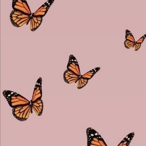 Meet your Posher, Katelyn